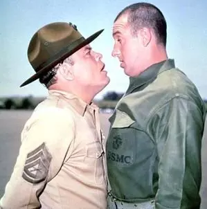 Gomer Pyle USMC Cast