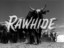 Rawhide